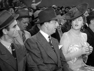 Shadow of the Thin Man