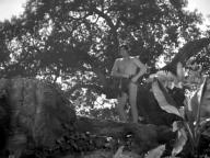 Tarzan and the Amazons