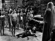Tarzan and the Amazons