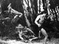 Tarzan and the Lost Safari