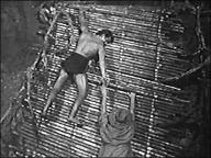 Tarzan and the Lost Safari