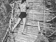 Tarzan and the Lost Safari