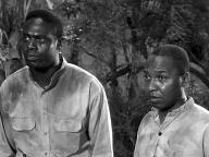 Tarzan and the Trappers
