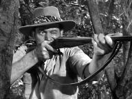 Tarzan and the Trappers
