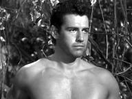 Tarzan and the Trappers