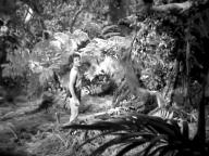 Tarzan's Desert Mystery