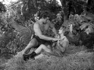 Tarzan's Hidden Jungle