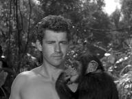 Tarzan's Hidden Jungle