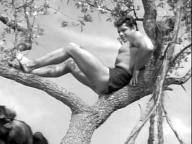 Tarzan's Hidden Jungle