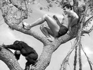 Tarzan's Hidden Jungle