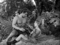Tarzan's Hidden Jungle