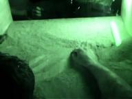 Buried