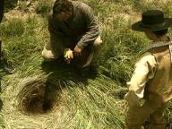 The Burrowers