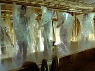 The Clonus Horror