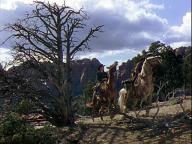 Copper Canyon