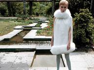 A Dandy in Aspic