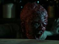 The Dead and the Damned