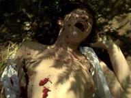 The Dead and the Damned