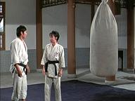 He qi dao