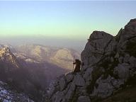 Man in the Wilderness