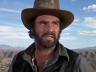 Man in the Wilderness