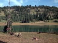 Rooster Cogburn