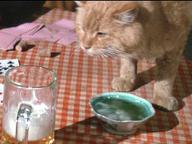 Rooster Cogburn