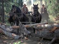 Rooster Cogburn