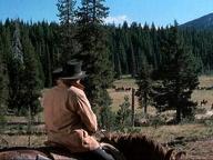 Rooster Cogburn