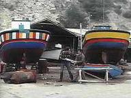 Serpiente de mar