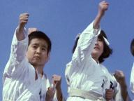 Shorinji kenpo