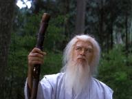 Shorinji kenpo