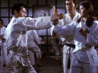Shorinji kenpo