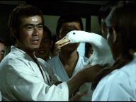 Shorinji kenpo
