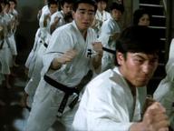 Shorinji kenpo