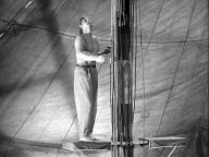 Tarzan's New York Adventure