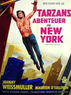 Tarzan's New York Adventure