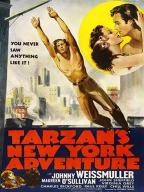 Tarzan's New York Adventure