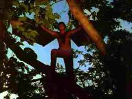 The Twilight People