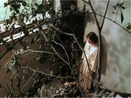 Alice ou la derniere fugue