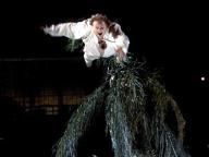 Beverly Hills Ninja