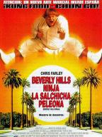 Beverly Hills Ninja