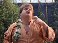 Beverly Hills Ninja