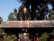 Beverly Hills Ninja