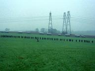 Le cercle rouge