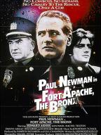 Fort Apache the Bronx
