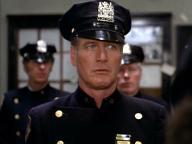 Fort Apache the Bronx