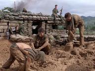 Hamburger Hill