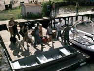 Shark Night