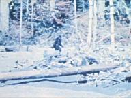 Snowbeast
